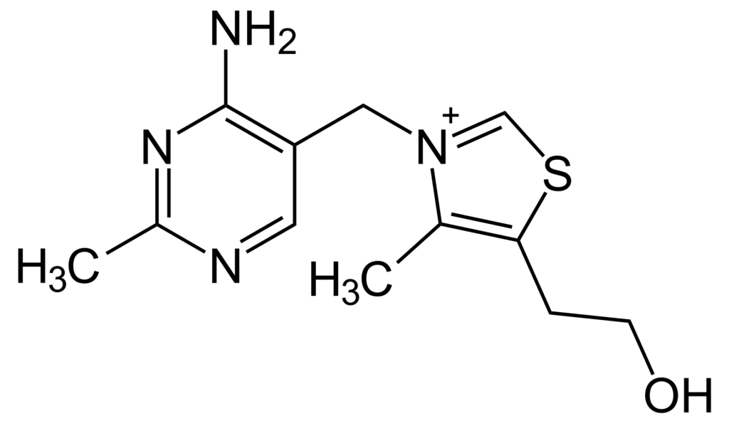 The skeletal structure of vitamin b1